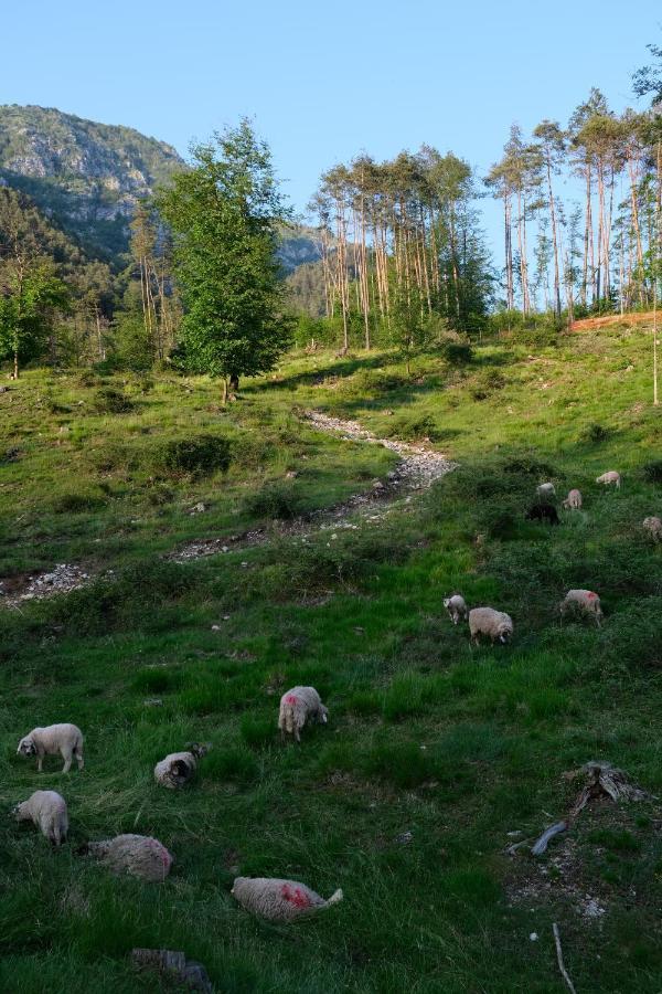 Appartamento Pradileva Tramonti di Sotto Esterno foto