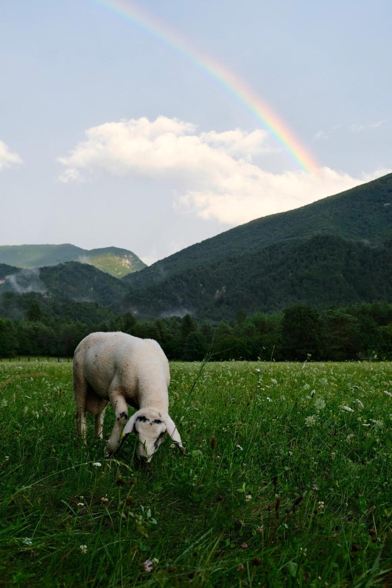 Appartamento Pradileva Tramonti di Sotto Esterno foto